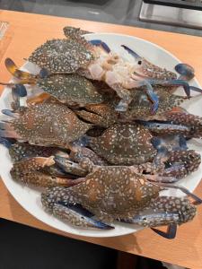 Kamala Beach Front Sea View 6 Bedroom Villa