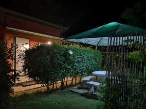 สวนตาคูณเชียงคาน 2