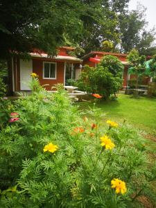 สวนตาคูณเชียงคาน 2