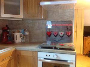 Studio mezzanine 4 pers, Valloire, balcon, proche pistes - FR-1-263-599