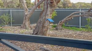 Just For 2 - A Fantastic Apartment - Perfect Coffin Bay Base For One or Two Guests