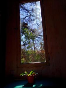 Cabaña entre arboles