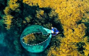 HAKU Boutique Hotel Quy Nhơn Kim Đồng - Xuân Diệu