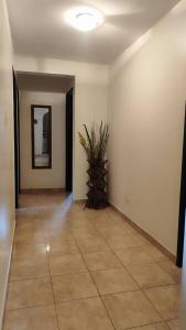 Céntrico Apartamento en Mérida