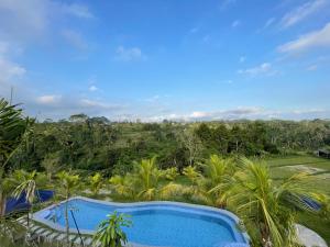 DeSila House and Pool