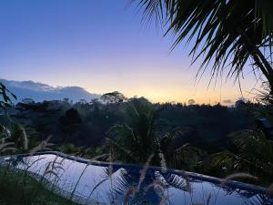 DeSila House and Pool