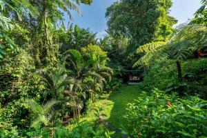 Mambo Valley - Your Own Private Oasis in Ubud