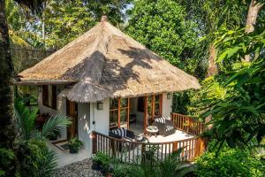 Mambo Valley - Your Own Private Oasis in Ubud