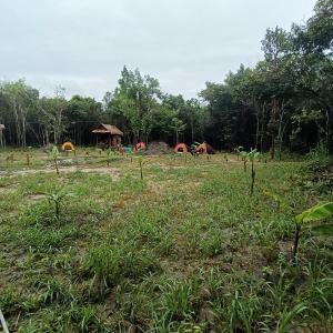 Chansor Homestay 1 By Siem Reap Homesteading