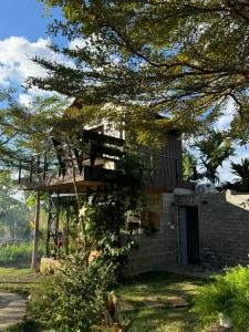 Tam An Lakeview Homestay