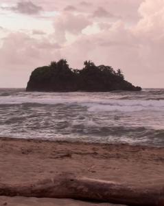 Japanese Room ,Beautiful Cabin in the heart of Town