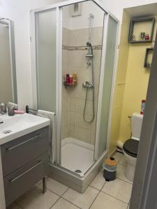 Appartements Studio lumineux avec WiFi gratuit Centre Antony, acces rapide Paris & Orly : photos des chambres