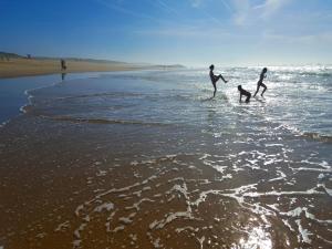 Maisons de vacances Holiday Home in La Teste with Pool & BBQ : photos des chambres