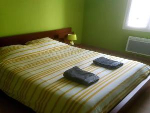 Maisons de vacances Holiday Home in La Teste with Pool & BBQ : photos des chambres