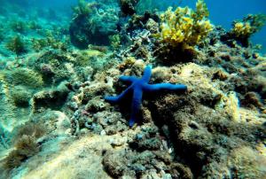 HAKU Boutique Hotel Quy Nhơn - Lê Lợi