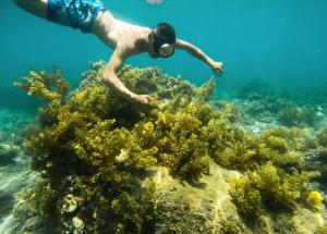 HAKU Boutique Hotel Quy Nhơn - Lê Lợi