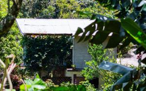 Adellas Blue Mountain Coffee Farmstay