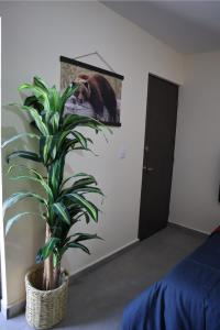 Departamento en residencial privada