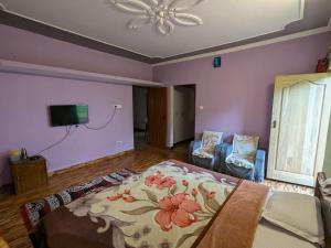 Pineview Homestay Inn