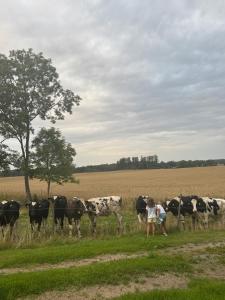 Sjötorps Säteris Bed & Breakfast Flygeln