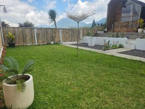 Glamour camping bedugul