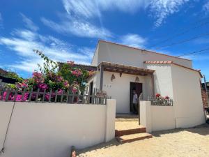 Tổ Ong Kiến Bình Định