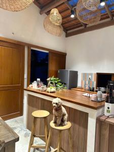 Tổ Ong Kiến Bình Định