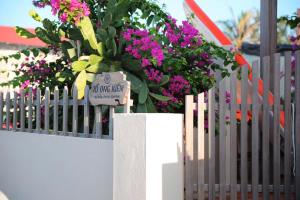 Tổ Ong Kiến Bình Định