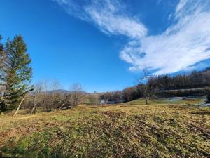 Maisons de vacances Holiday Home in Vosges with Garden and BBQ : photos des chambres
