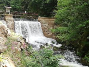 Maisons de vacances Holiday Home in Vosges with Garden and BBQ : photos des chambres