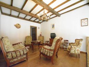 Vintage home with pets