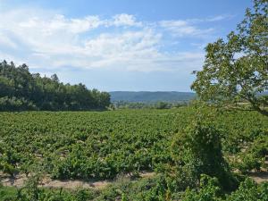 Villas Holiday Home in Herault with Pool : photos des chambres