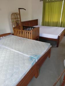 Master Bedroom with Lovely Environment