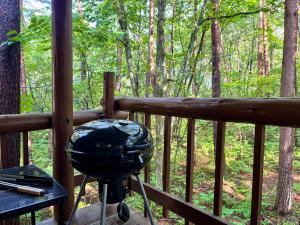 Forest Paw北軽井沢 広大な庭とウッドデッキのログハウス 専用キッズスペース 庭でのアスレチックやクワガタ採集