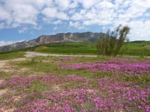 Cottage with Pool Views