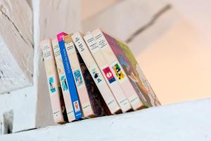 Appartements Sweet refuge of Amboise : photos des chambres