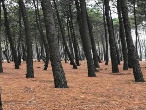 Villas Villa in Malaucene near Mount Ventoux : photos des chambres