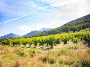 Villas Villa in Malaucene near Mount Ventoux : photos des chambres