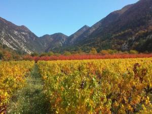 Villas Villa in Malaucene near Mount Ventoux : photos des chambres