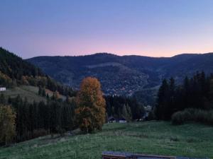 Chalets Ventron Chalet with Hill Views : photos des chambres