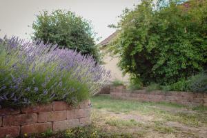 FEWO KOI mit Teichblick