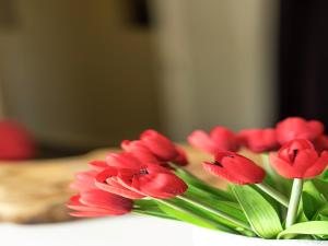 Namur Mansion by the Meus