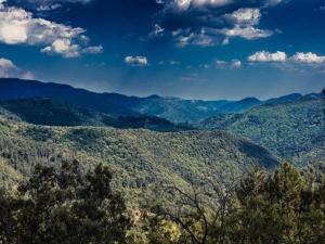 Appartements Apartment in Riquewihr near Vineyards : photos des chambres