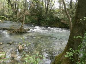 Appartements Apartment in Riquewihr near Vineyards : photos des chambres