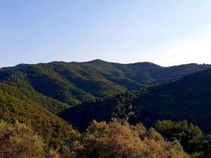 Appartements Apartment in Riquewihr near Vineyards : photos des chambres