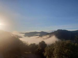 Appartements Apartment in Riquewihr near Vineyards : photos des chambres