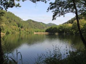 Appartements Apartment in Riquewihr near Vineyards : photos des chambres