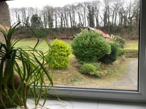 Maisons de vacances Cottage in Normandy near River Walks : photos des chambres