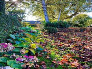 Maisons de vacances Cottage in Normandy near River Walks : photos des chambres