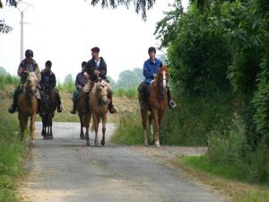 Maisons de vacances Cottage in Normandy near River Walks : photos des chambres